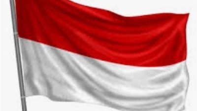 إندونيسيا: الإصلاح الشامل للهيكل العسكري ضروري لمواجهة المخاطر الجيوسياسية المتزايدة