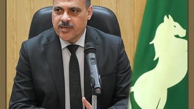 في اليوم الرابع بالمرحلة الثالثة من الموجه الـ 25.. إزالة 2 حالة تعدي بمساحة 219 متر مباني بنطاق المحافظة