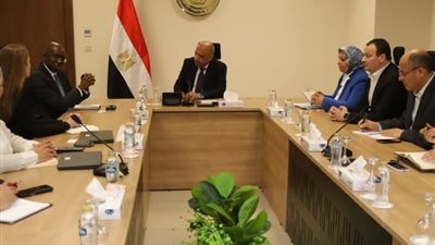 وزير الكهرباء والطاقة المتجددة يبحث مع وفد مؤسسة التمويل الدولية 