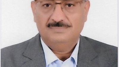 شاذلي القرباوي: زيارة الرئيس السيسي إلى روسيا ناجحة وترسخ لدور مصر كدولة محورية وركيزة للاستقرار الإقليمي