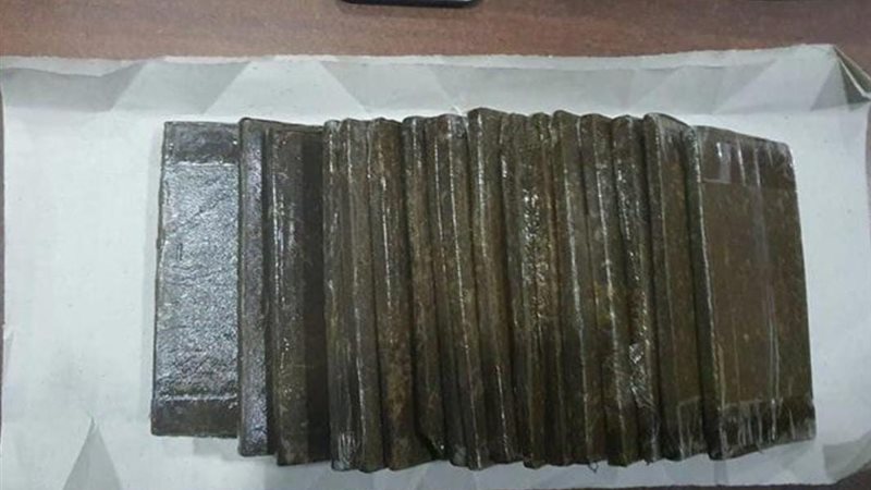 المواطن
