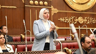 «نائبة التنسيقية» تكشف عدم وضوح مؤشرات أداء مشروعات التحول الأخضر في خطة الدولة الاقتصادية  