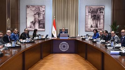 رئيس الوزراء يتابع مع محافظ البحيرة الموقف التنفيذي لمشروعي تطوير 
