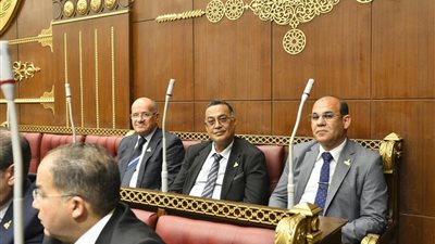 نواب السويس برئاسة خشانة يشاركون الجلسه الختاميه لنهايه دور الأنعقاد الخامس لمجلس الشيوخ