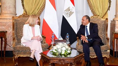 وزير الخارجية والهجرة يجرى مشاورات سياسية مع نظيرته النمساوية