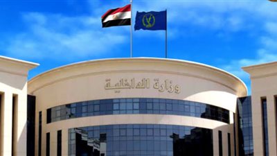 الداخليه تجهض مخطط ارهابي لحسم في مصر 
