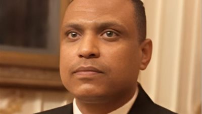 السفير الحبيب النوبي يثمن جهود الدولة المصرية في كشف 