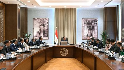 رئيس الوزراء يتابع جهود دعم صناعة الدواء في السوق المصرية