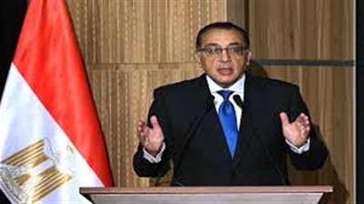 معلومات  الوزراء يرصد بالفيديو جهود الدولة لاستقدام سفن 