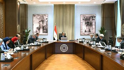 رئيس الوزراء يتابع جهود إعادة هيكلة الهيئات الاقتصادية