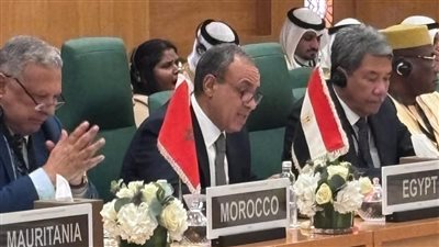 وزير الخارجية يشارك في دورة استثنائية لمجلس وزراء 