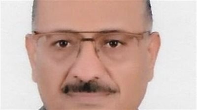 القرباوي: كلمة الرئيس السيسي قوية ووضعت إطاراً أمنياً 