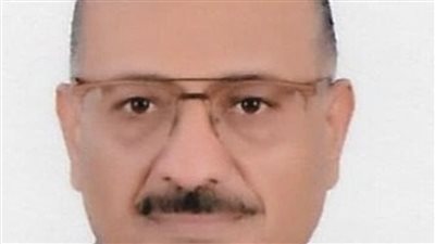 شاذلي القرباوي: مصر تؤكد بالأمم المتحدة موقفها التاريخي الثابت تجاه فلسطين