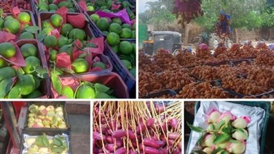 أسعار الخضروات والفواكه اليوم بجميع الأسواق المصرية 