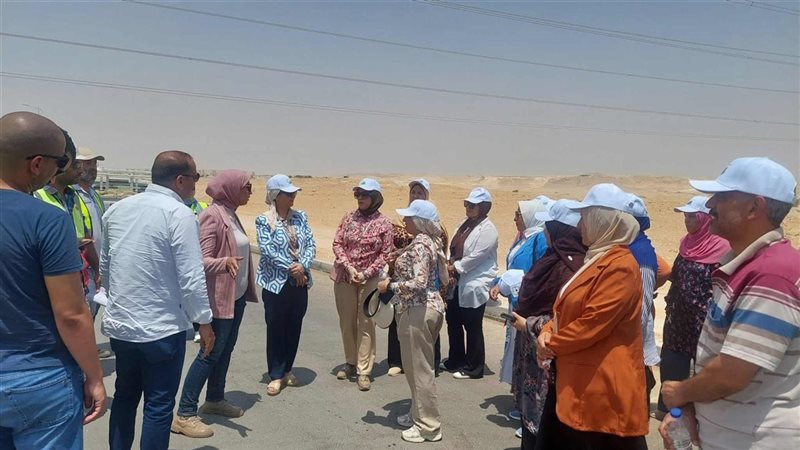 المواطن