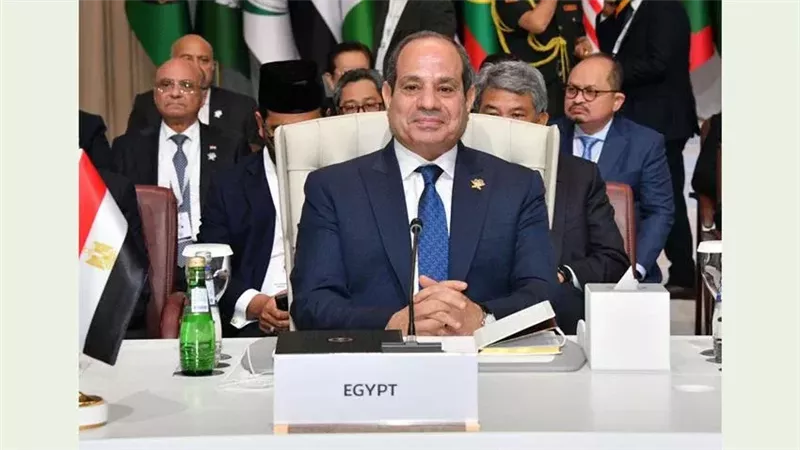 الرئيس السيسي 