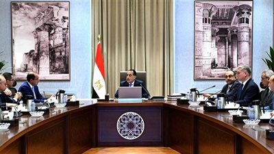 رئيس الوزراء يستعرض جهود تجهيز الشركات وتنشيط البورصة المصرية لتعزيز الاستثمارات 