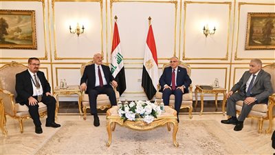 وزير الموارد المائية المصري والعراقي يبحثان تعزيز التعاون المشترك 