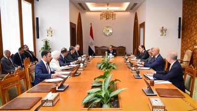 وزير الخارجية يتابع استعدادات الوزارة لافتتاح المتحف المصري الكبير 