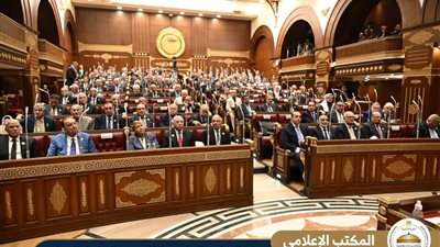 إنطلاقة جديدة للعمل البرلماني : المستشار محمود فوزي يشهد تشكيل اللجان النوعية 