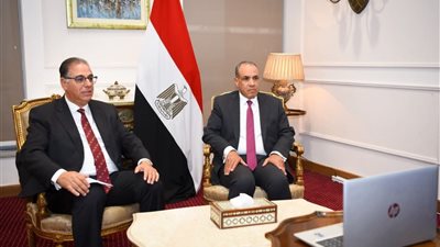 وزير الخارجية يشارك في إطلاق الصالون الثقافي للمصريين في الخارج 