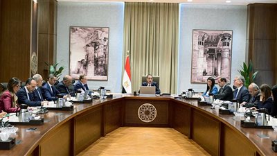 رئيس الوزراء يتابع موقف تنفيذ مشروعات الطاقة المتجددة وربطها بالشبكة القومية للكهرباء 
