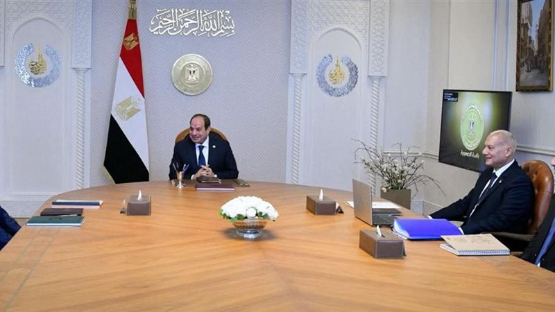 الرئيس السيسي 