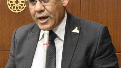 النائب أحمد خشانة في مؤتمر السويس الإتحاد قوة ونواب المحافظة إيد واحدة