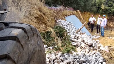 محافظ الشرقية يواصل حملاته المكثفة لإزالة التعديات على الأراضي الزراعية 