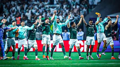 بالميراس البرازيلي يتأهل إلي نهائي كأس ليبرتادوريس بعد ريمونتادا تاريخية 