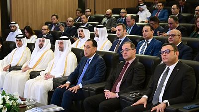 رئيس الوزراء:شراكة استثمارية مصرية قطرية لتنمية وتطوير منطقة 