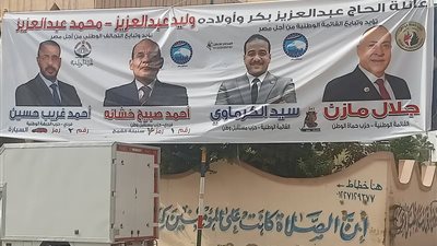 أحزاب التحالف أستعدت لمعركة مجلس النواب بتأييد شعبي كبير بمحافظة السويس 