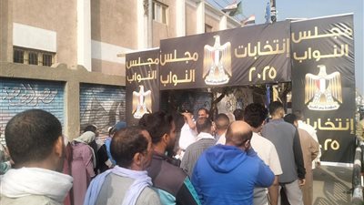 أمين سر لجنة طاقة الشيوخ: المشاركة في الانتخابات واجب وطني