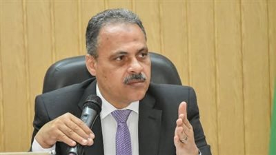 محافظ الشرقية: ضبط٧ طن دواجن غير صالحة للإستهلاك الآدمي بالعاشر من رمضان