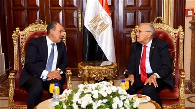 وزير الخارجية يلتقي رئيس مجلس الشيوخ لتعزيز التعاون البرلماني والدبلوماسي