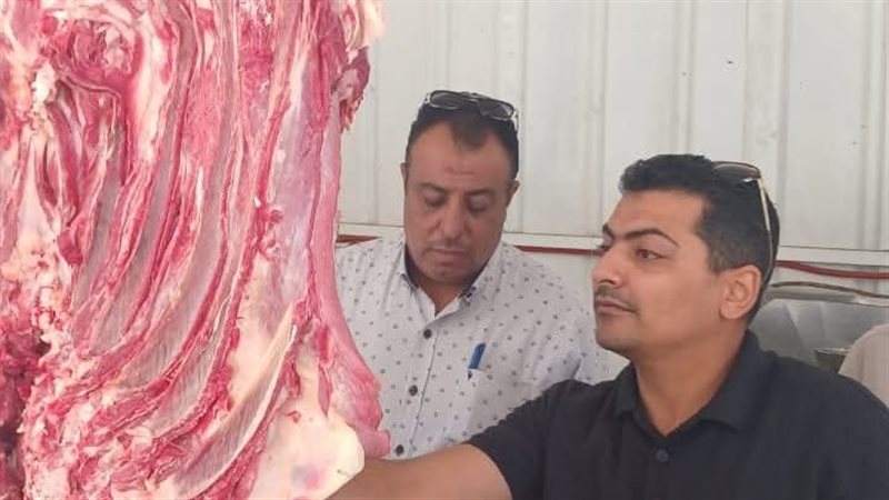 محافظة المنوفية 
