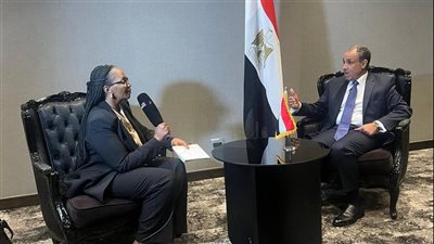 وزير الخارجية يجرى لقاءات إعلامية على هامش المشاركة في قمة مجموعة العشرين