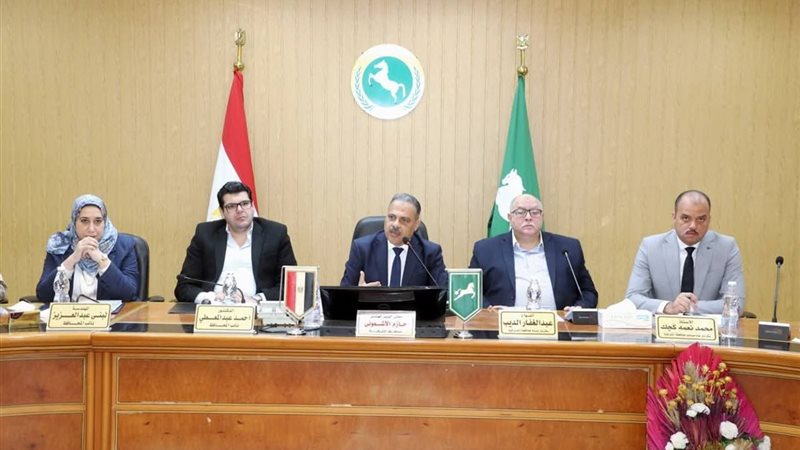 محافظ الشرقية 