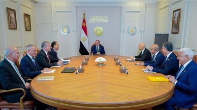 استقبل الرئيس السيسي الرئيس التنفيذي لشركة 