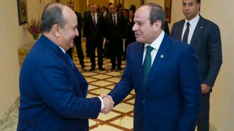 الرئيس السيسي 