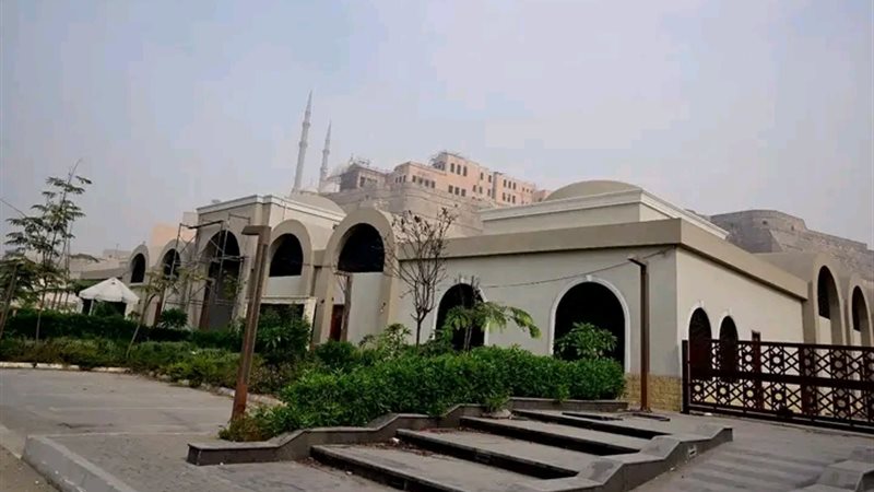 المواطن