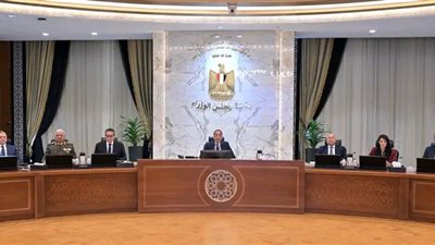 رئيس جهاز التعبئة والإحصاء يُقدم عرضًا حول التعداد العام للسكان والإسكان والمنشآت