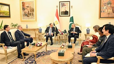 مشاورات سياسية بين وزيرى الخارجية المصرى والباكستاني فى إسلام آباد