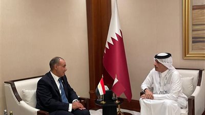 وزير الخارجية المصري يبحث مع رئيس وزراء قطر تطورات الأوضاع في غزة