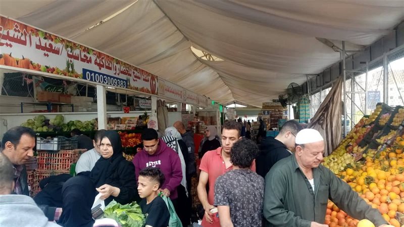 الدقهلية 
