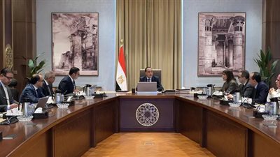 رئيس الوزراء يستعرض المخطط الهيكلي والرؤية التنموية لمنطقة غرب رأس الحكمة