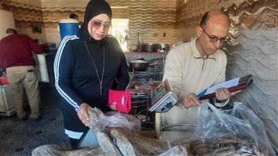 تموين السويس: ضبط 1326 كيلو لحوم غير صالحه للإستخدام الآدمي
