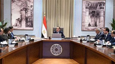 رئيس الوزراء يتابع جهود توافر السلع الغذائية والمنتجات الزراعية في الأسواق