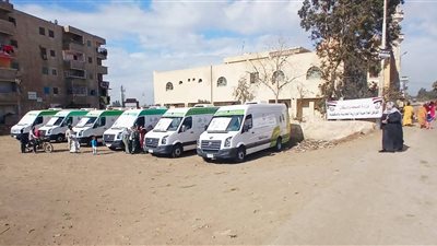 1517 مواطنا يستفيدون من قافلة طبية مجانية في الدقهلية