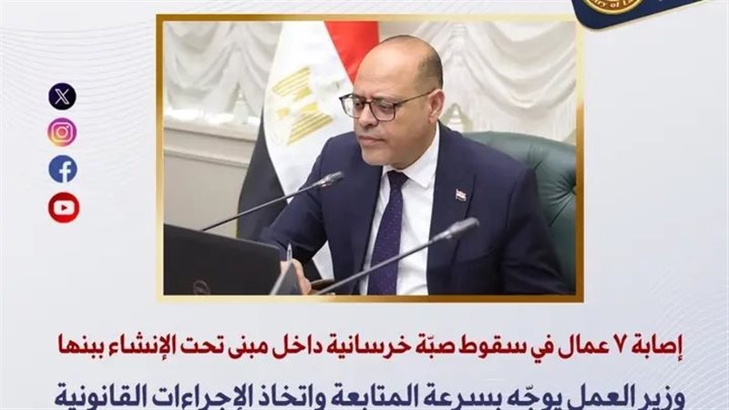 وزير العمل 